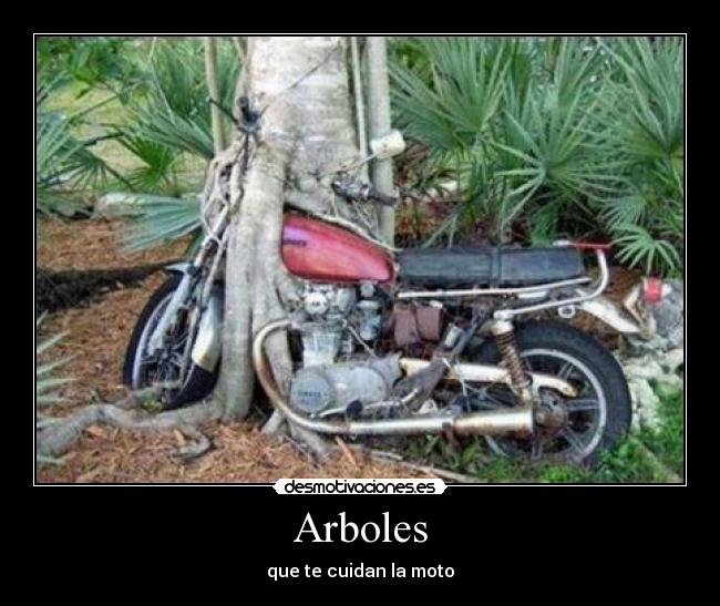 Arboles - 