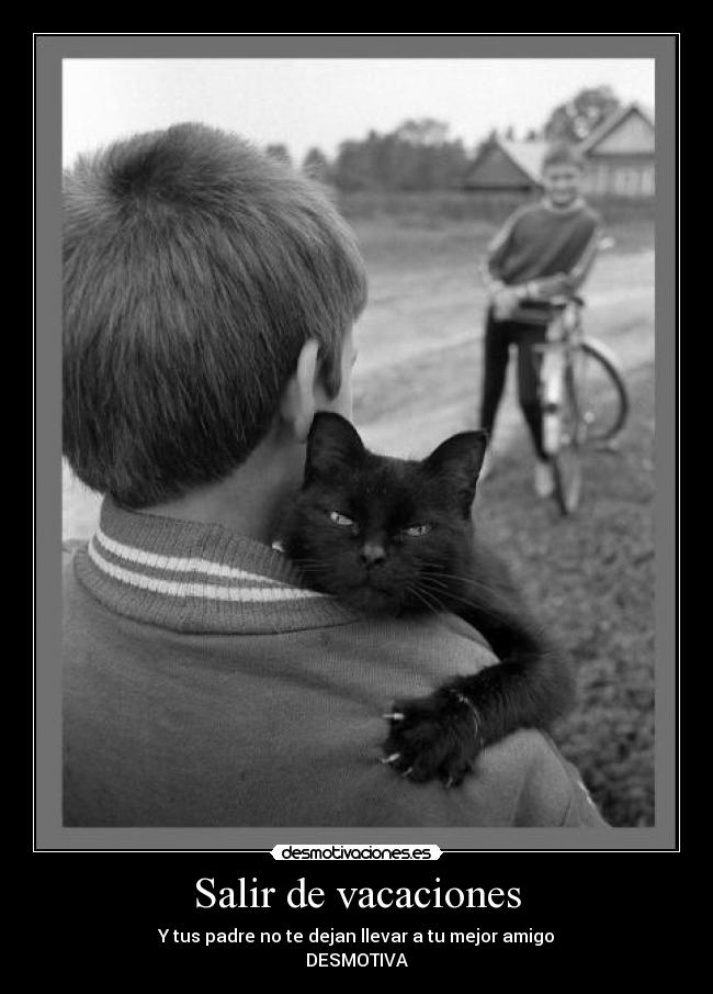 Salir de vacaciones - 