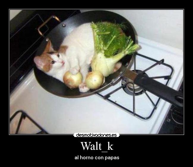 Walt_k - al horno con papas
