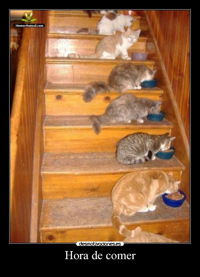 Hora de comer - 