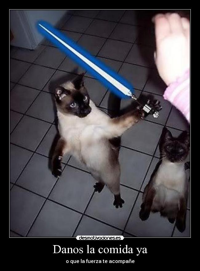 Danos la comida ya -