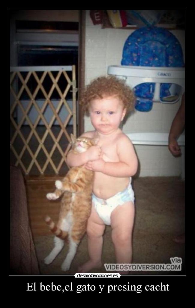 El bebe,el gato y presing cacht -