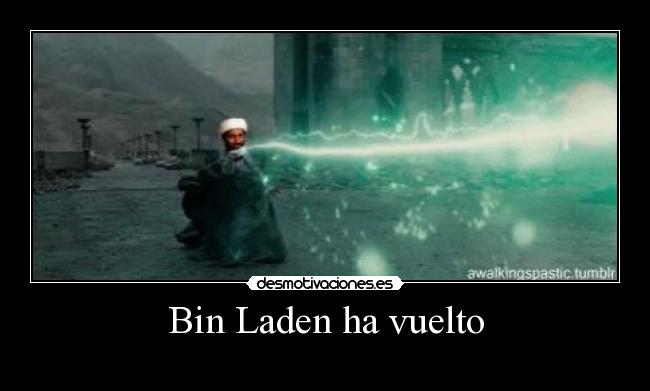 Bin Laden ha vuelto -