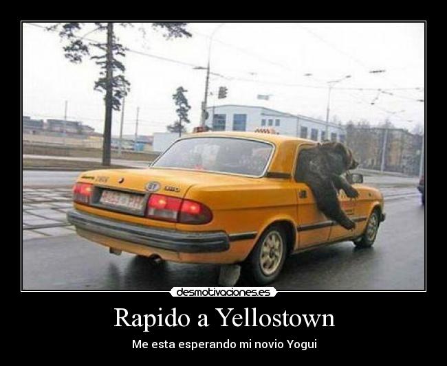 Rapido a Yellostown - Me esta esperando mi novio Yogui