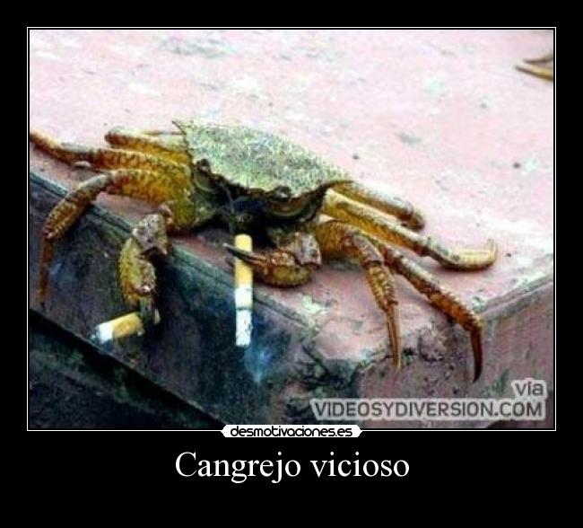 carteles papa desmotivaciones