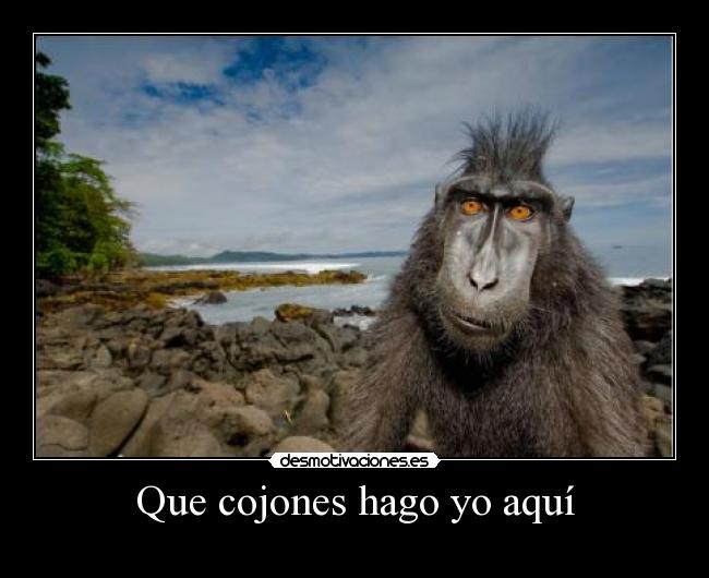 Que cojones hago yo aquí - 