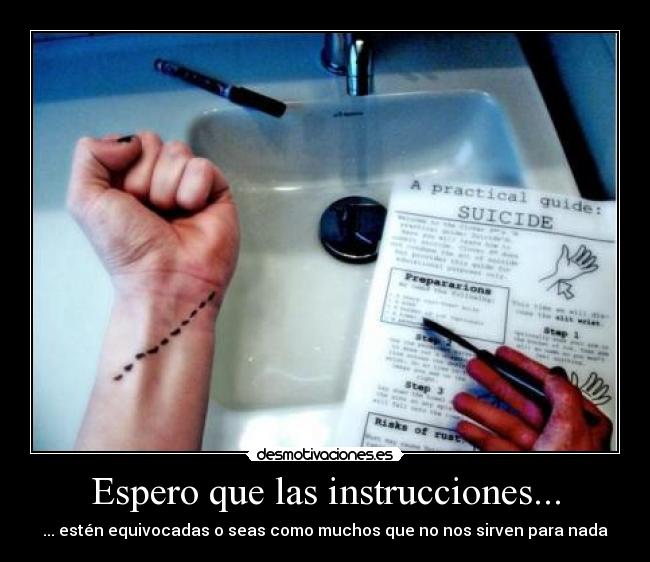 Espero que las instrucciones... - 