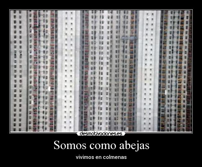 Somos como abejas - vivimos en colmenas