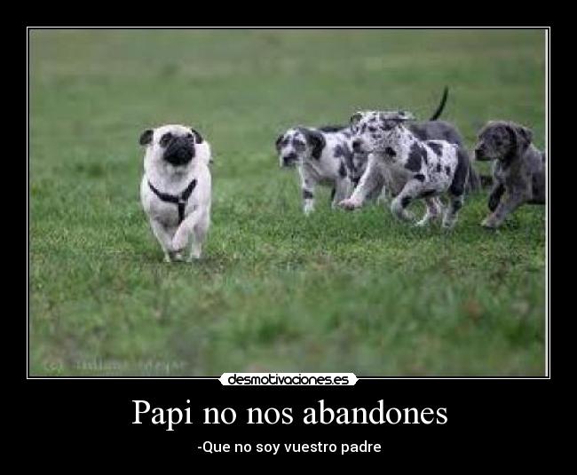 carteles cpm99 desmotivaciones