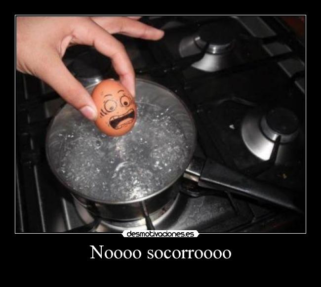 Noooo socorroooo - 