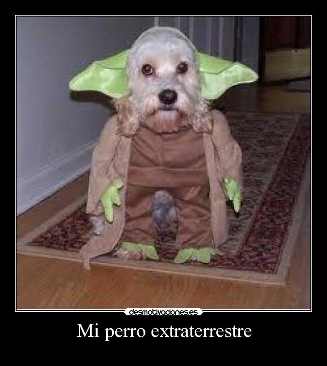 Mi perro extraterrestre -
