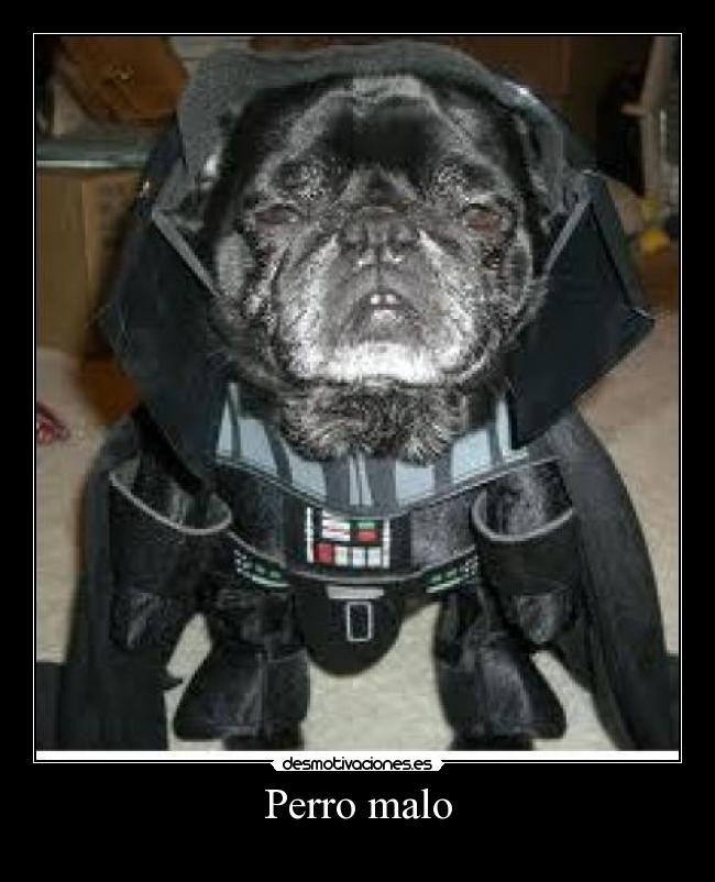 carteles papa desmotivaciones