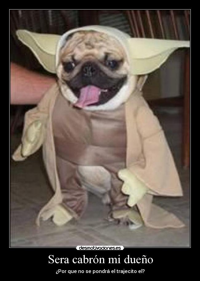 Sera cabrón mi dueño -