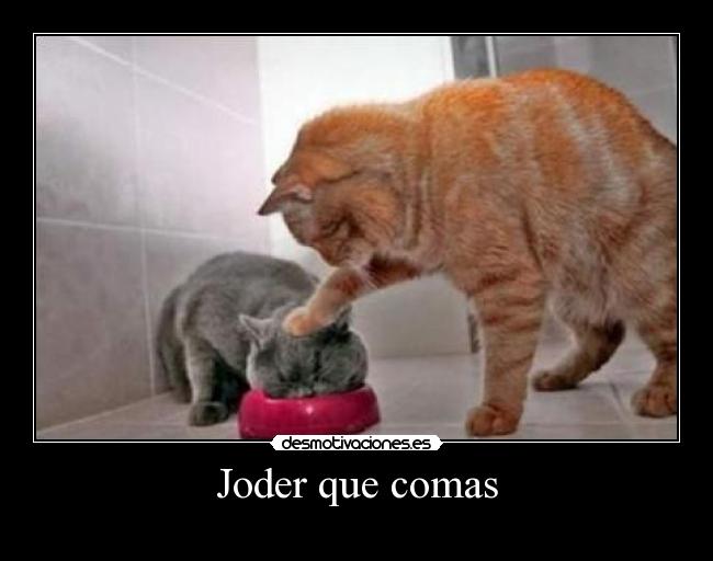 carteles pene desmotivaciones