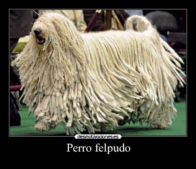 carteles cpm99 desmotivaciones