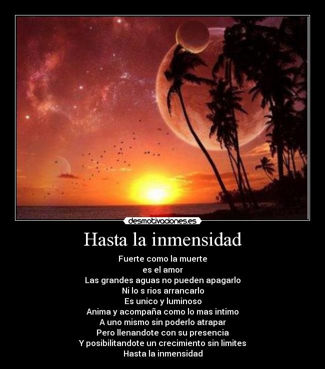 Hasta la inmensidad -