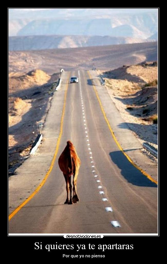 Si quieres ya te apartaras -