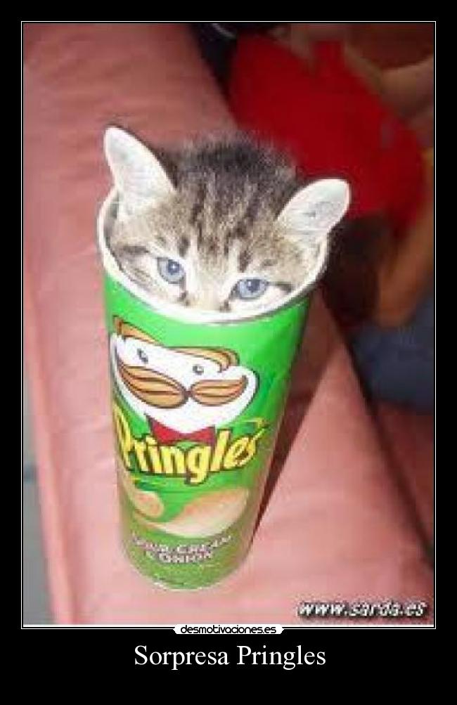 Sorpresa Pringles -
