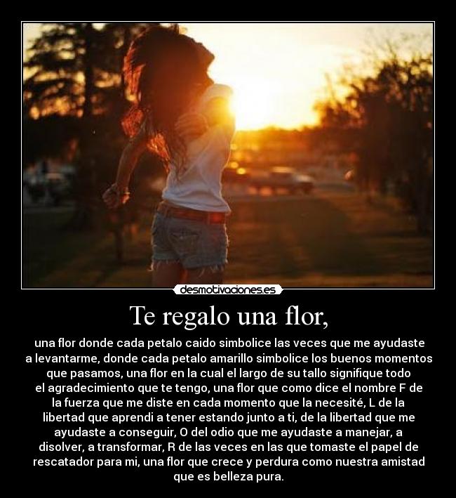 Te regalo una flor, -  una flor donde cada petalo caido simbolice las veces que me ayudaste
a levantarme, donde cada petalo amarillo simbolice los buenos momentos
que pasamos, una flor en la cual el largo de su tallo signifique todo
el agradecimiento que te tengo, una flor que como dice el nombre F de
la fuerza que me diste en cada momento que la necesité, L de la
libertad que aprendi a tener estando junto a ti, de la libertad que me
ayudaste a conseguir, O del odio que me ayudaste a manejar, a
disolver, a transformar, R de las veces en las que tomaste el papel de
rescatador para mi, una flor que crece y perdura como nuestra amistad
que es belleza pura.