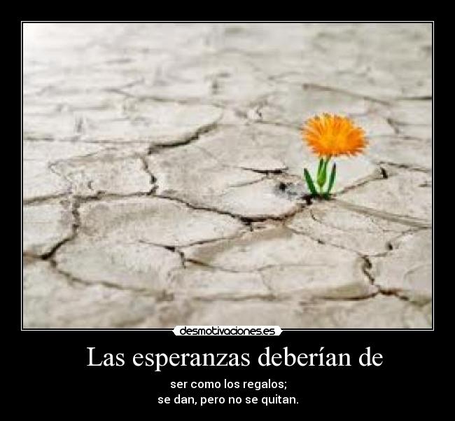 Las esperanzas deberían de -