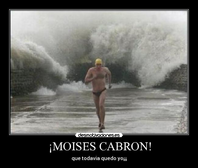 ¡MOISES CABRON! -