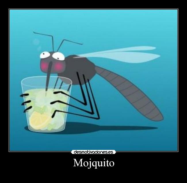Mojquito - 