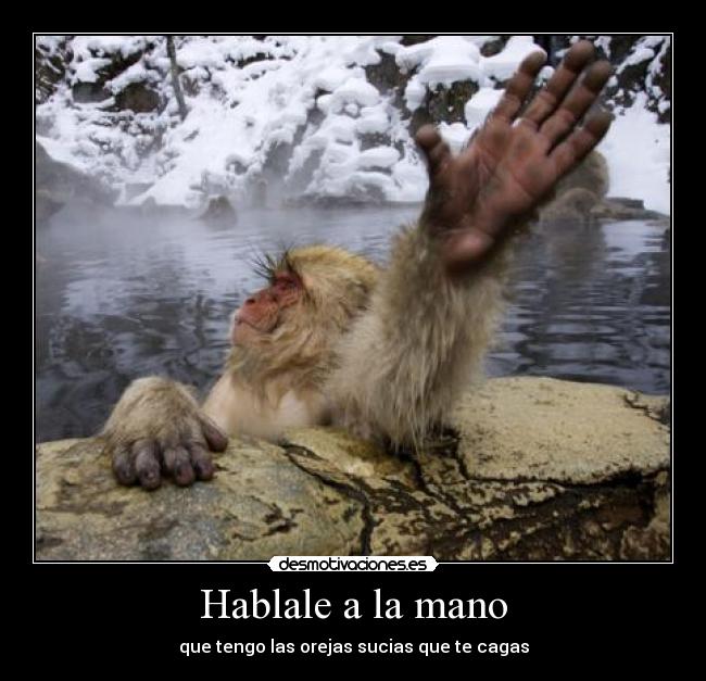 Hablale a la mano - 