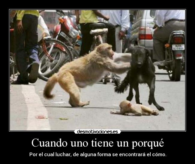 Cuando uno tiene un porqué - 