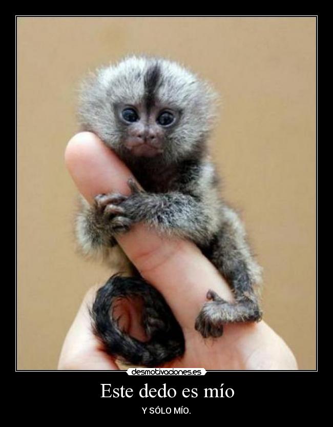 Este dedo es mío - Y SÓLO MÍO.