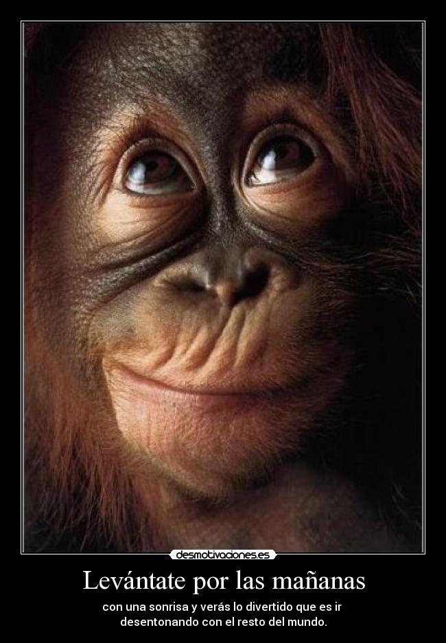 Levántate por las mañanas - con una sonrisa y verás lo divertido que es ir
desentonando con el resto del mundo.