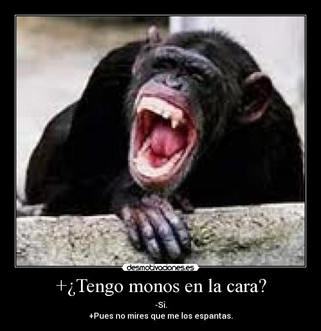 +¿Tengo monos en la cara? - -Si.
+Pues no mires que me los espantas.