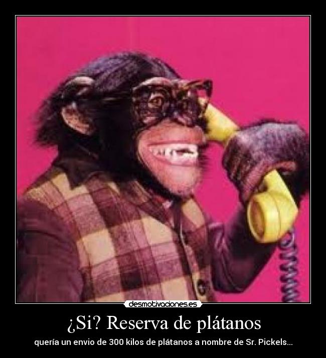 ¿Si? Reserva de plátanos - quería un envio de 300 kilos de plátanos a nombre de Sr. Pickels...