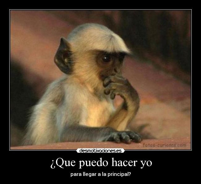 ¿Que puedo hacer yo - para llegar a la principal?