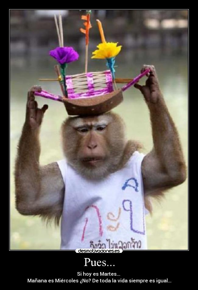 Pues... - Si hoy es Martes...
Mañana es Miércoles ¿No? De toda la vida siempre es igual...