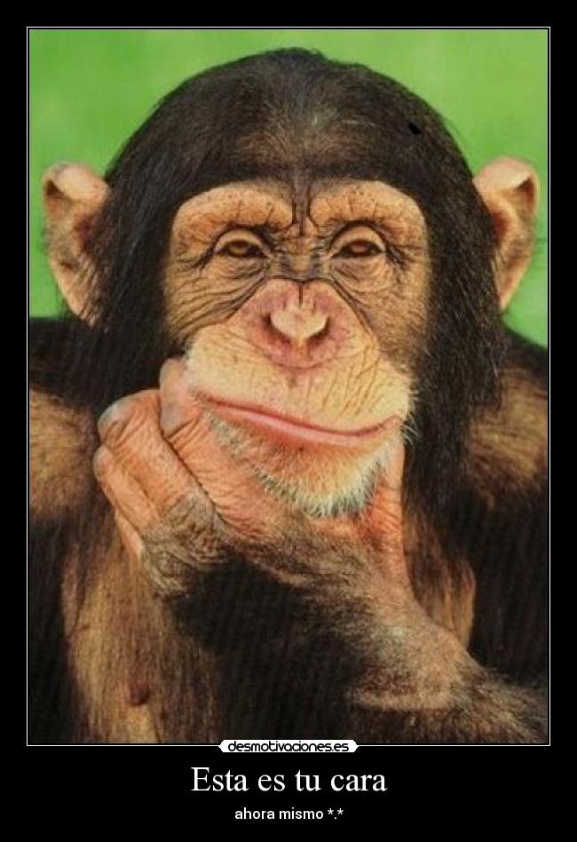 Esta es tu cara - ahora mismo *.*
