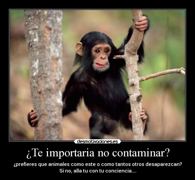 ¿Te importaria no contaminar? - ¿prefieres que animales como este o como tantos otros desaparezcan?
Si no, alla tu con tu conciencia....
