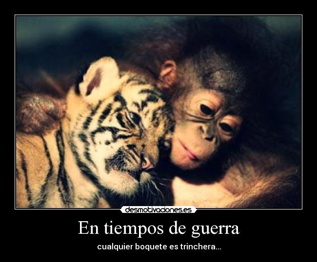 En tiempos de guerra - cualquier boquete es trinchera...