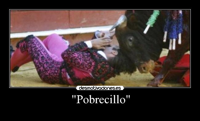 carteles toro festejo taurino aberracion desmotivaciones