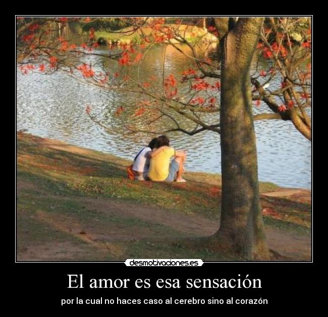 El amor es esa sensación - por la cual no haces caso al cerebro sino al corazón