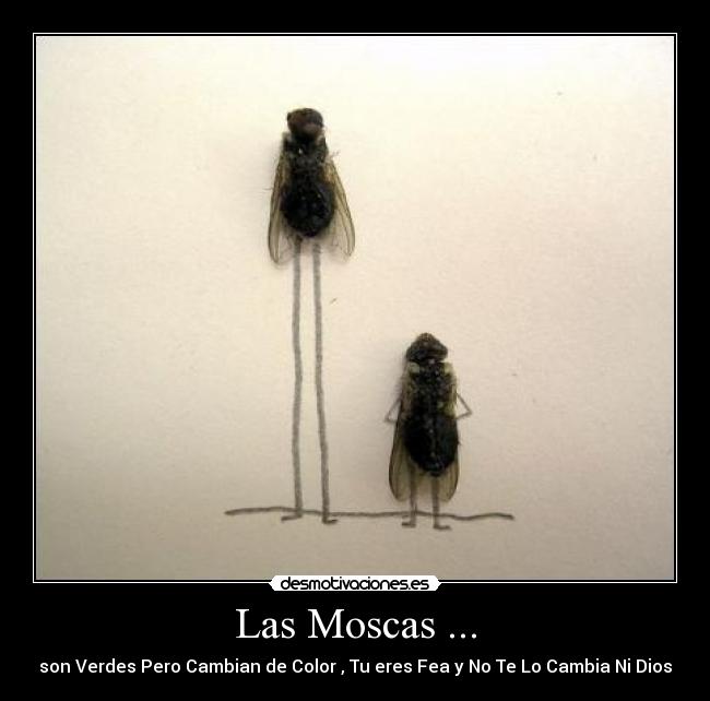 Las Moscas ... -