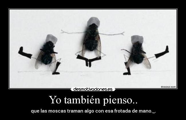 Yo también pienso.. - que las moscas traman algo con esa frotada de mano._.