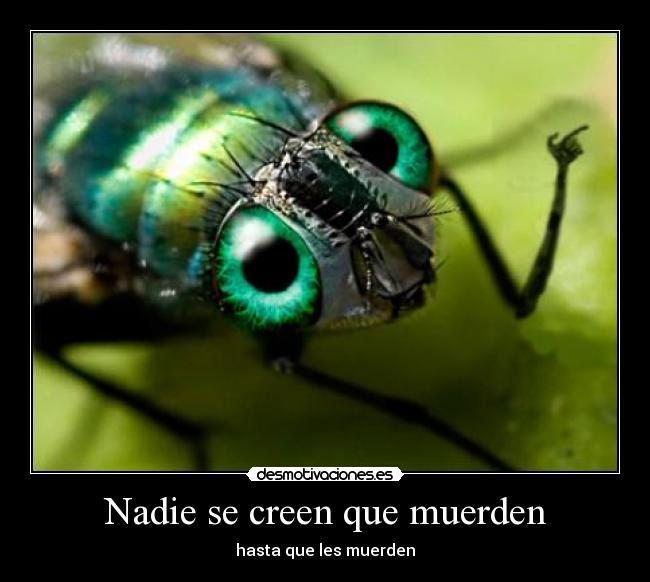 Nadie se creen que muerden - hasta que les muerden