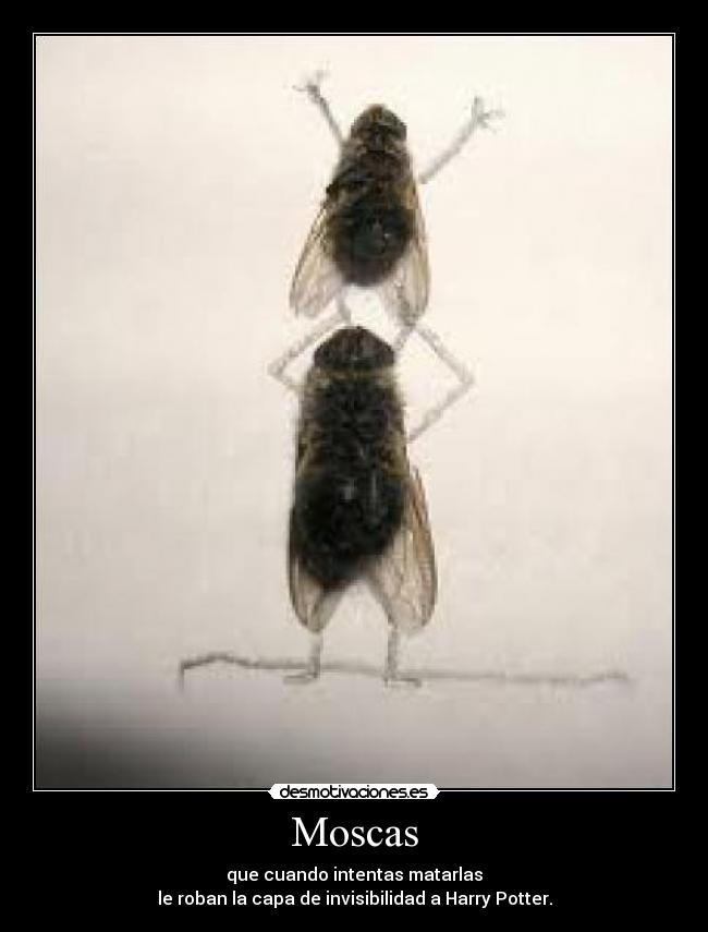 carteles bghjjggh desmotivaciones