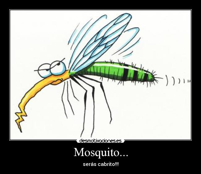 Mosquito... - 