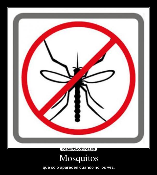 Mosquitos - 
