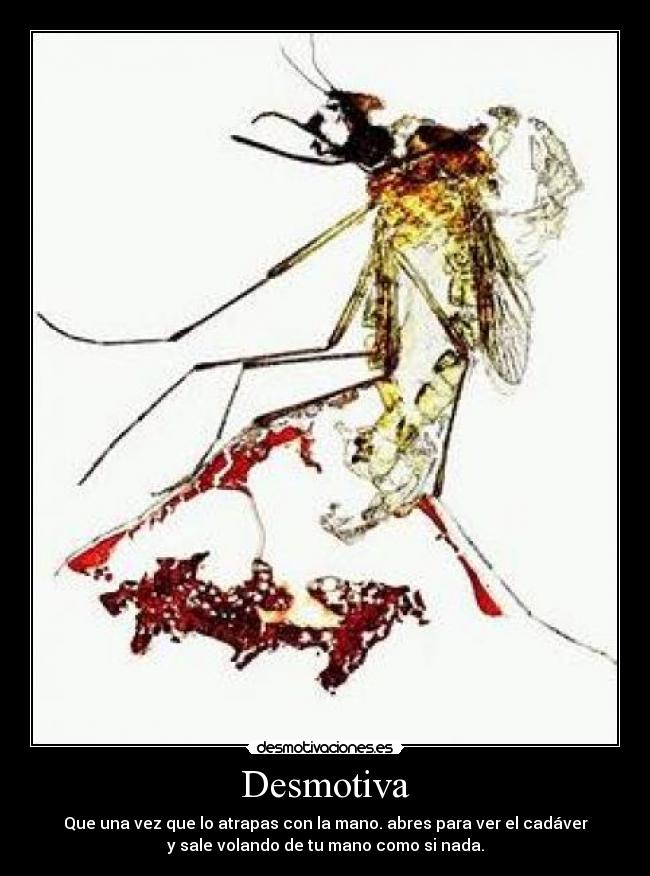 Desmotiva - Que una vez que lo atrapas con la mano. abres para ver el cadáver
y sale volando de tu mano como si nada.