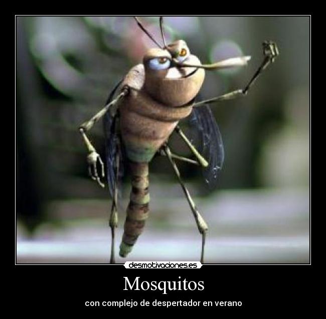 carteles hijos puta que despiertan las tantas manana desmotivaciones