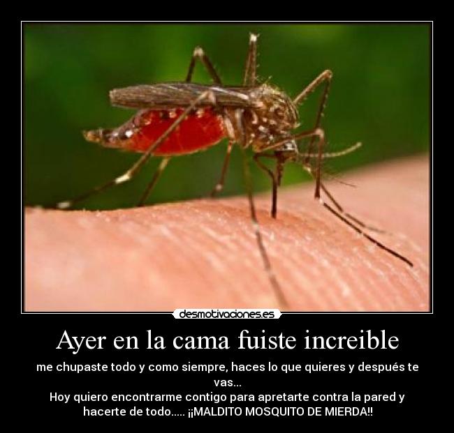 Ayer en la cama fuiste increible - 