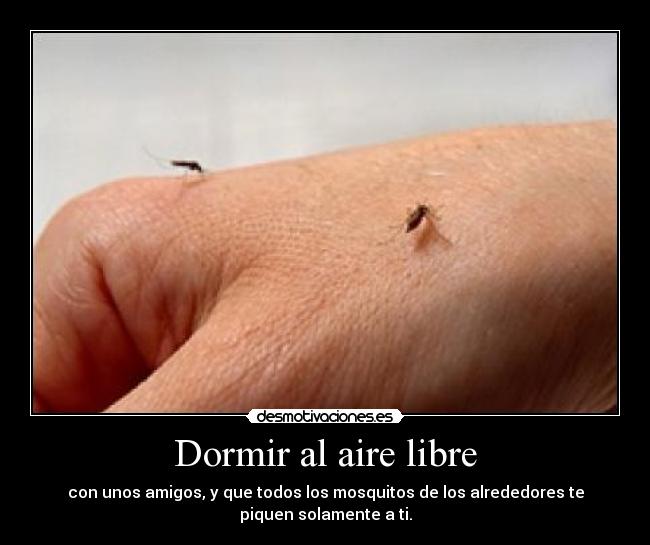 Dormir al aire libre -