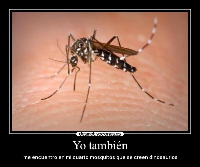 Yo también - me encuentro en mi cuarto mosquitos que se creen dinosaurios